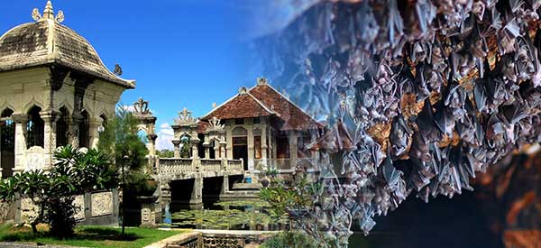 Read more about the article Eastern Bali Tour